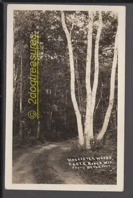Rppc Birch Trees At Hollister Woods Resort Eagle River Wi Wisconsin Vilas County • $6.99