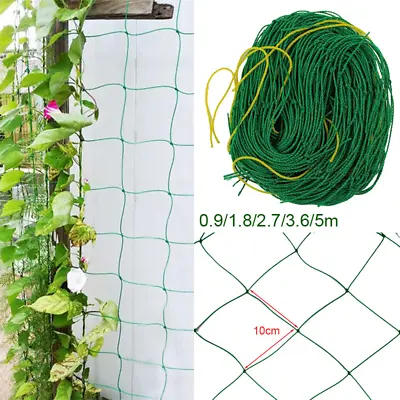£5.59 • Buy Plant Support Mesh Garden Net Vegetable Fruit Climbing Netting Pea Bean Trellis