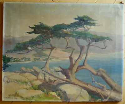 Marian Colt Wing Listed Early Ca California Plein Air Coastal Monterey Cypress • $1572.75