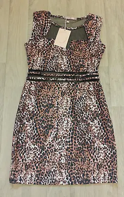 £12.99 • Buy Womens Eva & Lola Animal Print Dress Size M