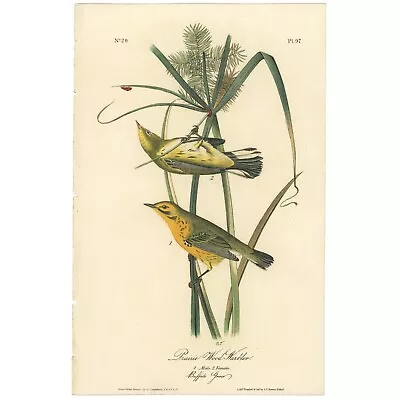 Audubon Birds Octavo 1st Ed 1840 H/c Lithograph Pl. 97 Prairie Wood - Warbler • $133