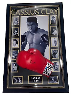 Cassius Clay SIGNED Glove Autograph Muhammad Ali! Steiner Certified Hologram • £6995