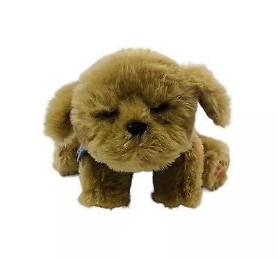 Moose Little Live Pets Snuggles My Dream Puppy 10  Interactive Plush Toy #28185 • $19.99