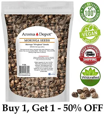 1Lb. Moringa Seeds 1600 Fresh Semilla De Moringa Oleifera 100% Fresh Malunggay • $18.90