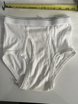 $20 • Buy Vintage Double Blue Line 14-16 Fruit Brief Underwear 