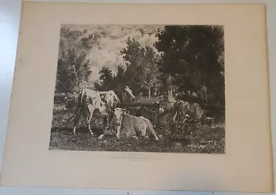 1880s Peter C Moran EtchingLandscape And Catlle After Van Marcke Mill Wheel • $24.95