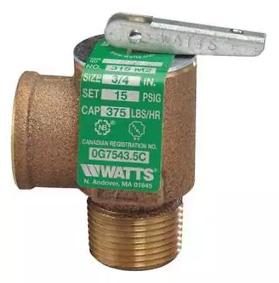Watts 0006275 Steam Safety Relief Valve2-3/4 In. • $102.99