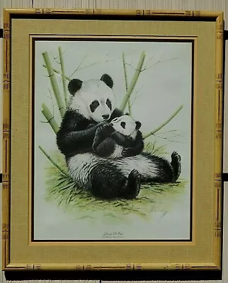 Panda Mother & Her Baby Charming Detailed Excellent Conditon. Signed & Framed • $455