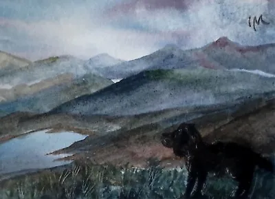 ACEO Original Painting Art Card Landscape Dog Hills Mountains Birds  Watercolour • £5