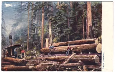 Logging Steam Lumbering R Tuck Large Timber Cut Post Card Postcard Vintage F • $4.95