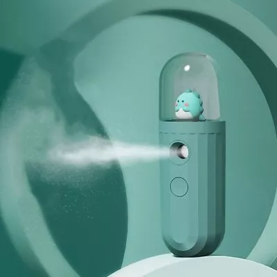 New Portable Nano Mist Sprayer USB Rechargable Face Facial Mister Humidifier • $8.86