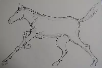Pencil Drawing On Ivory Mount Card Of A Horse Galloping Running • £29.99