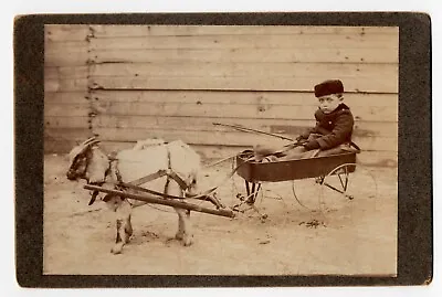 A Kid A Goat And A Goat Cart : Cabinet Card • $29.95
