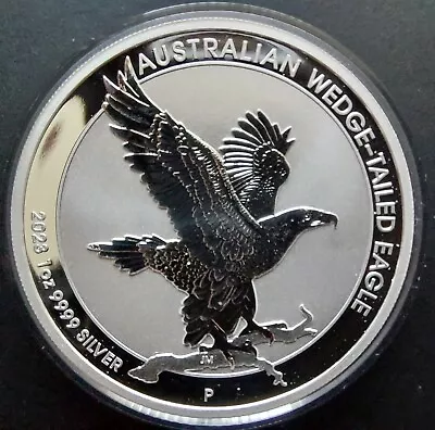 2023 Perth Mint Australian Wedge-Tailed Eagle 1oz 9999 Silver In Capsule • £34.50