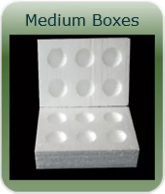 10 X 6 Hole  Medium Polystyrene Egg Boxes Hatching/incubation Chicken • £17