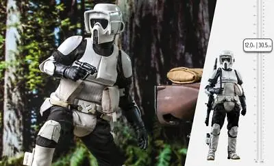 Scout Trooper™ Star Wars Sixth Scale Figure By Hot Toys • $235