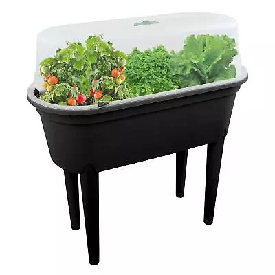 Raised Planter Box Garden Bed With Lid Outdoor Greenhouse For Flower Vegetable  • £29.99