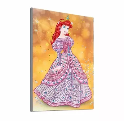 $17.95 • Buy AU Seller 5D Crystal Diamond Painting Partial Kit 30x40 - Disney Princess Ariel