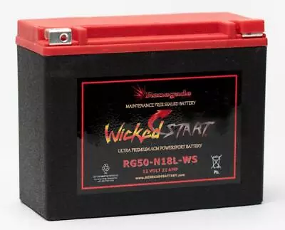 BATTERY FOR (2007-2009) EXPEDITION 800 (All Models); RG50-N18L-WS 500+ CCA's • $199.50