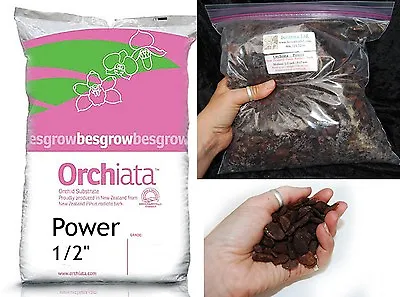 ORCHIATA - 3 LITERS - New Zealand Pinus Radiata Bark - Power - 1/2 Inch • £18.30