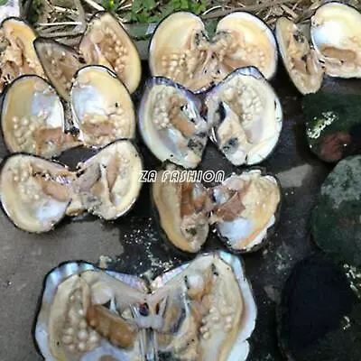 $17.99 • Buy Big Oyster Pearl Freshwater Cultured Oval 20-25 Pearl Inside 5-7mm Vacuum Packed