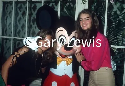 Brooke Shields & Lisa Whelchel 8x10 Glossy Photo From Original Transparency • $24.50