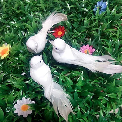 Ornaments Bird White Feather Artificial Pigeons Decor Crafts Cute Miniature Mini • £4.58