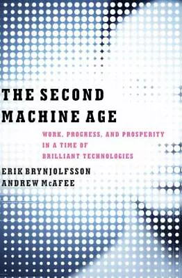 The Second Machine Age: Work Progress - Hardcover 9780393239355 Brynjolfsson • $4.21