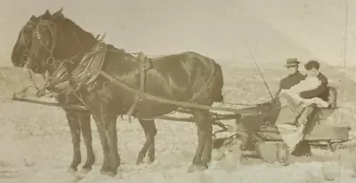 Antique Vtg RPPC Horse Drawn Carriage Buggy Sled Family Winter Snow BAG • $7.99