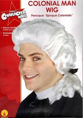 GEORGE WASHINGTON 17th Century Colonnial Civil War Mens WHITE HAIR WIG COSTUME • $39.95