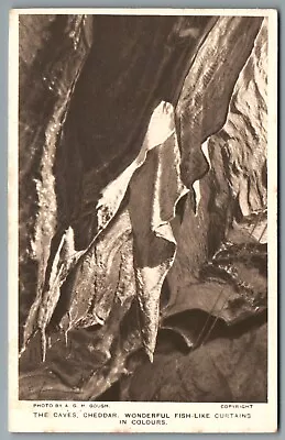 CHEDDAR Somerset Postcard Caves Wonderful Fish Like Curtains A G H Gough • £2