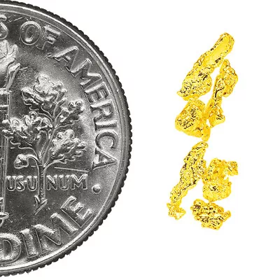 0.2170 Gram Alaska Natural Gold Nuggets - (#77209) - 6pcs Alaskan Gold Nuggets • $0.01