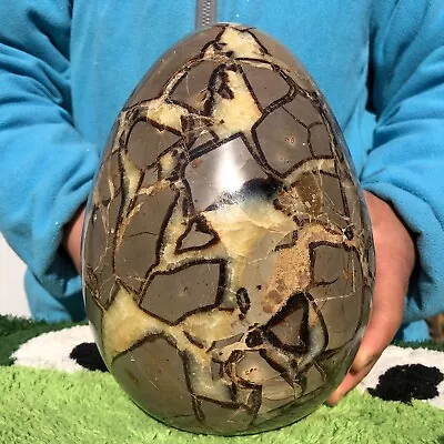 15.6LB Natural Septarian Dragon Quartz Crystal Egg Mineral Specimen Healing • $0.99