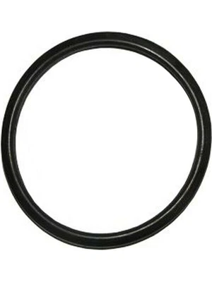 $15.70 • Buy Dayco Thermostat Seal FOR TOYOTA HILUX YN6_ (DTG34)