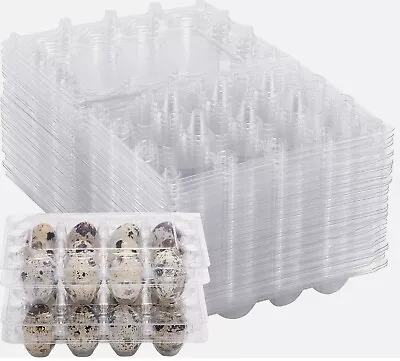 100 Pcs Quail Egg Cartons 12 Cell (3x4)   Secure Snap Close Fast Shipping • $23.99