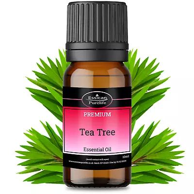 TEA TREE Essential Oil Certified 100% Pure & Natural 10ML TO 1000ML • £13.95