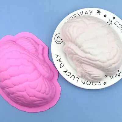 Human Brain Shape Brain Silicone Mold Scary Human Brain Cake Mould   Dessert • $12.94