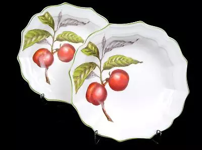 Villeroy & Boch German Porcelain Cascara 2 Piece 7 3/8  Rim Cereal Bowls 2007- • $77.48