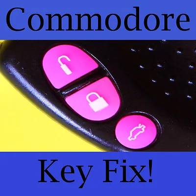 $3.60 • Buy Holden Commodore Key Buttons VS VT VX VY VZ Pink Set