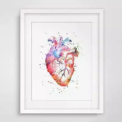 Watercolor Anatomy Heart Images Vintage Graphics Art Print Anatomy Wall Hanging  • $24.27