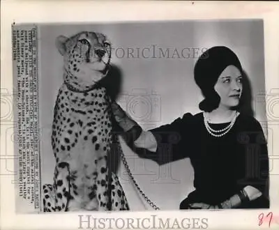 1964 Press Photo Actress Pola Negri Poses By Cheetah In Hollywood - Hcw27781 • $17.88