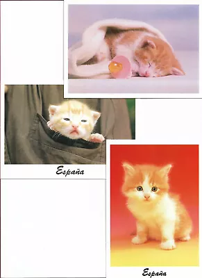 £1.50 • Buy 6 Spanish Cat & Dog Postcards. © 1990 -1993 - Nos 501, 678, 680, 828, 1080, 1136