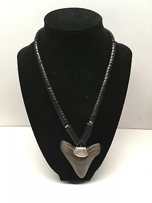 Vintage Megalodon 2-1/2” Shark Tooth Beaded Necklace • $70