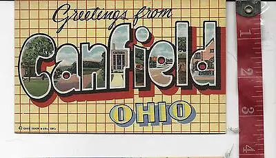 Vintage Linen Large Letter Greetings From Canfield Ohio  • $6