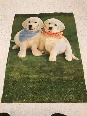 £2.50 • Buy Golden Labradors Dogs Puppies Puppy 100% Cotton Remnant Craft Material Fabric A
