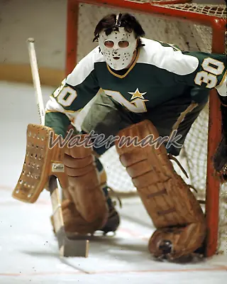 NHL Minnesota North Stars Goalie Cesare Maniago Game Action Color 8 X 10 Photo • $5.99