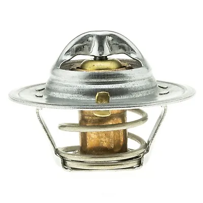 Engine Coolant Thermostat-Natural Stant 13869 • $12.99