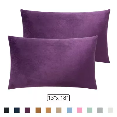 Velvet Zippered Pillow Cover Queen King Size Ultra Fluffy Soft Pillowcase 2 PCS • $17.99