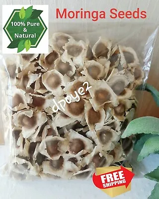 £5.65 • Buy Dried Organic Moringa Seeds Superfood Premium Quality Non GMO (Moringa Oleifera)