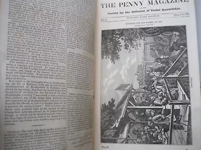 1835 - The Penny Magazine - Bound Year - January To December - Illustrated • £19.96